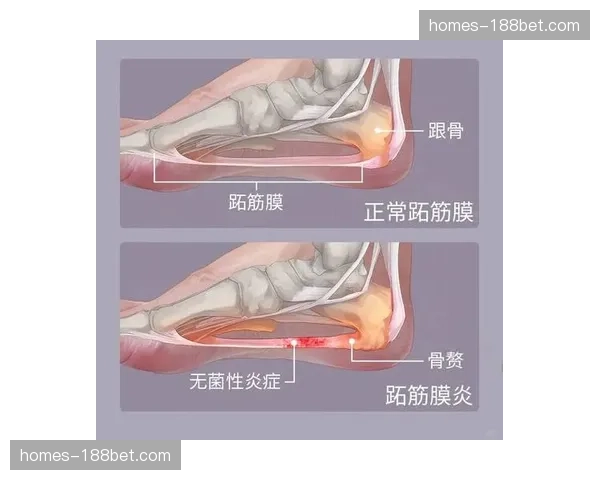 德国中场阿米里足底筋膜炎 美因茨核心目标四月复出
